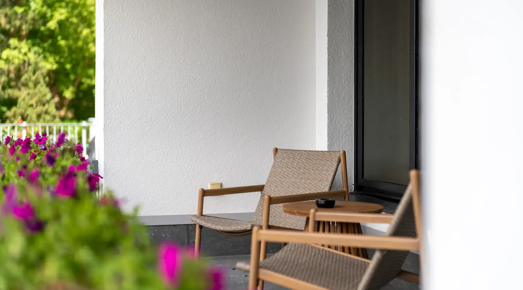 Terras