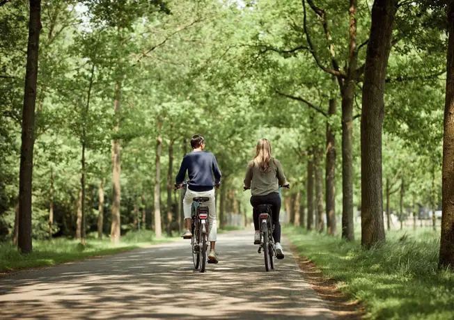 Fietsende mensen in het bos