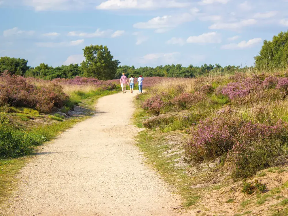 Maasduinen Venlo