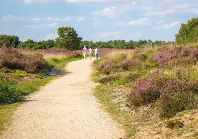 Walking North Limburg