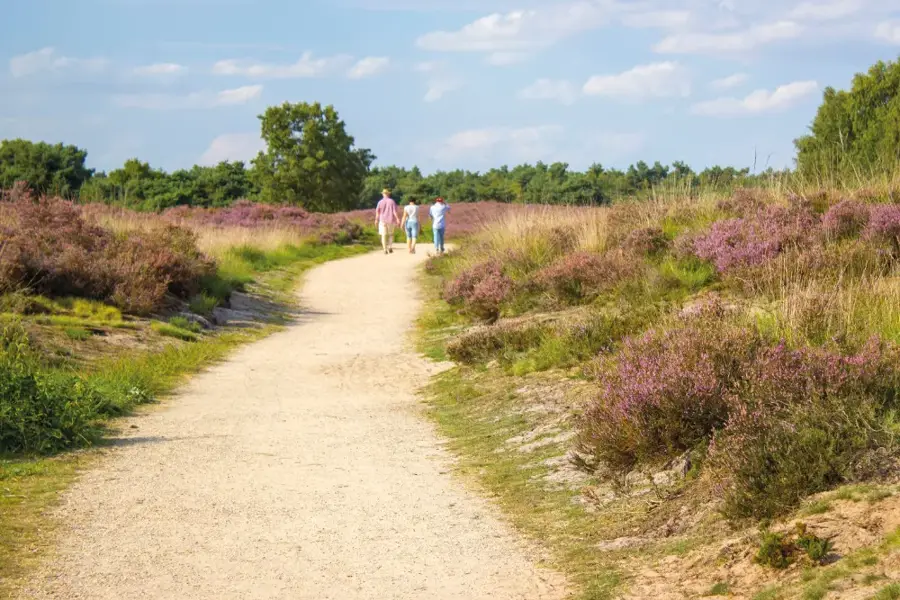 Maasduinen Venlo