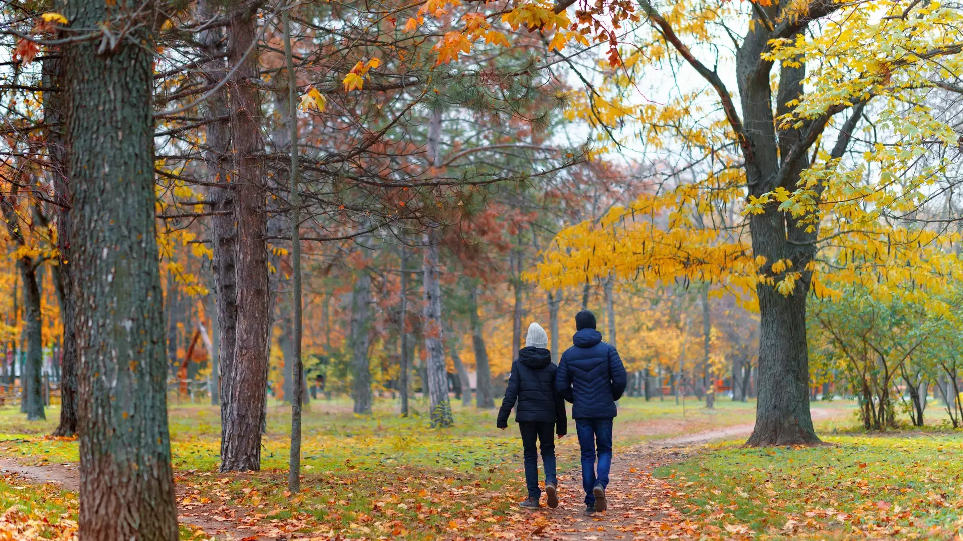 Wandelen in de omgeving