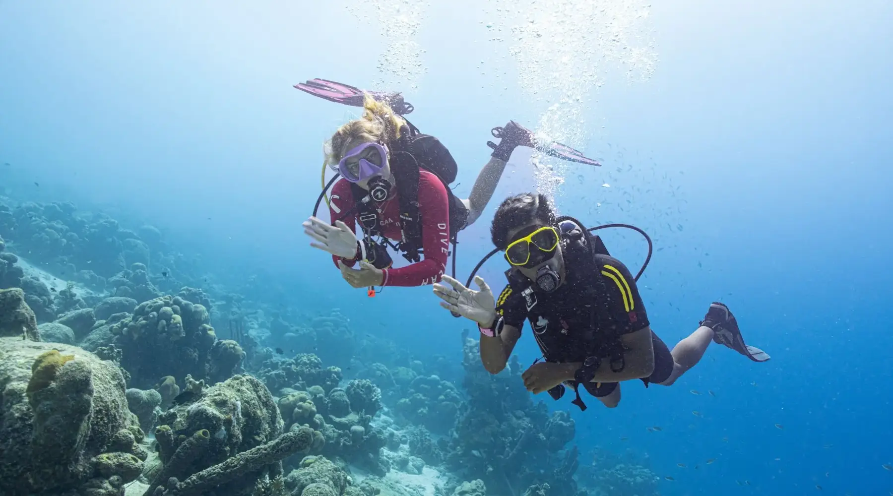 Duikers in de zee bij Bonaire.