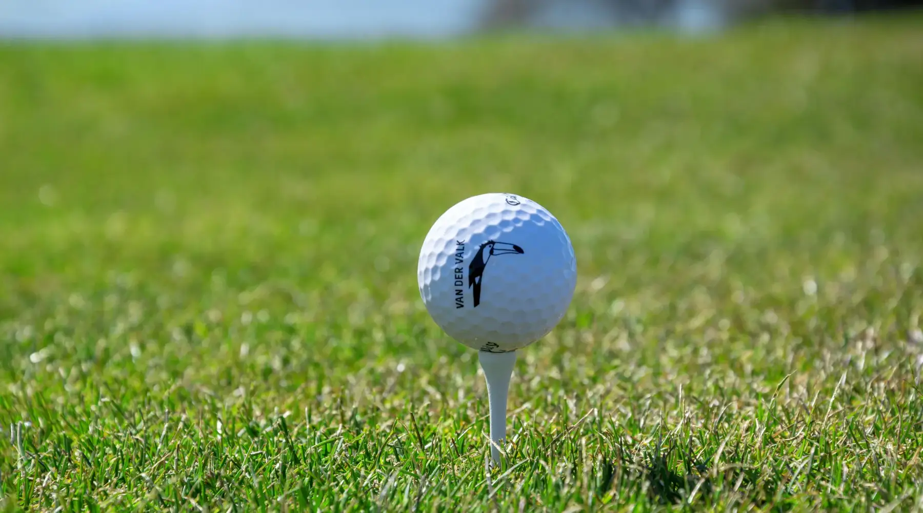 Close-up of a golf ball with the Van der Valk logo, placed on a tee on a manicured lawn. The even grass surface and the calm, green surroundings represent high-quality golf courses in the Hildesheim region and convey a relaxed, athletic atmosphere.