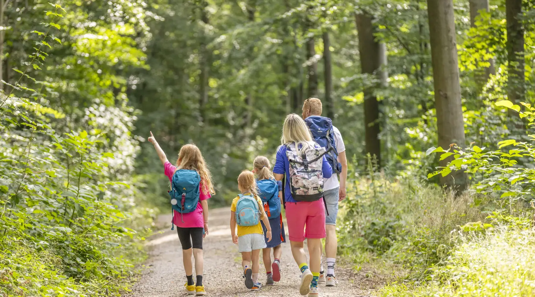 Familie wandelen in het bos