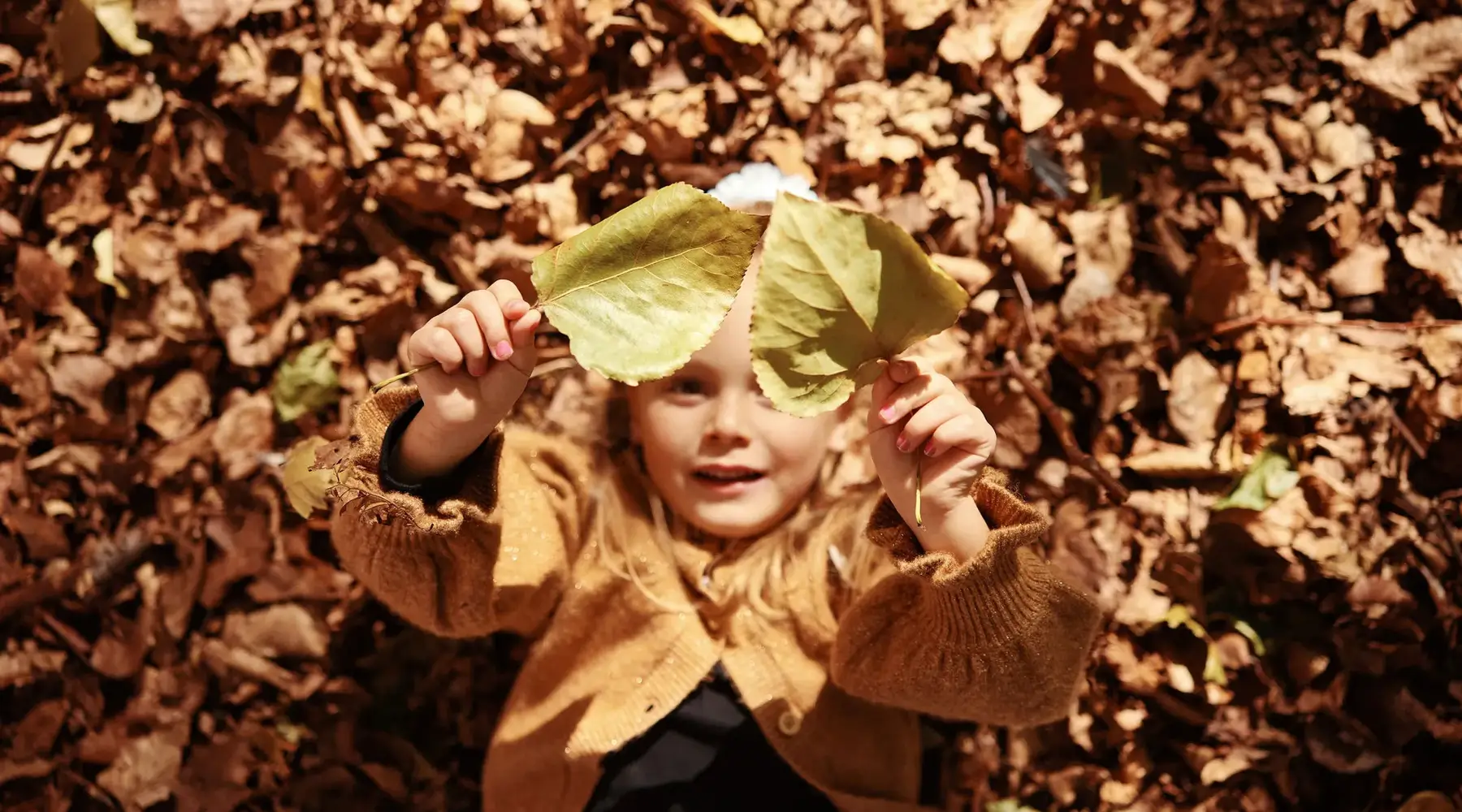Child in leaves in forest