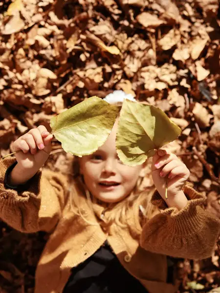 Kind in den Blättern im Wald während des Herbstes in Gent