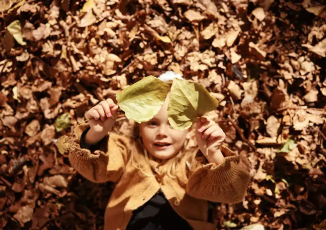 Bébé est couché dans les feuilles en forêt