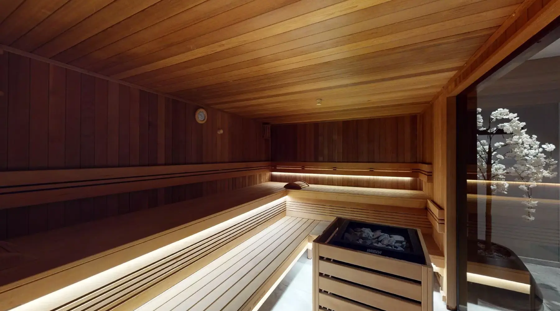 Wellness, Hotel Mons Congress & Spa