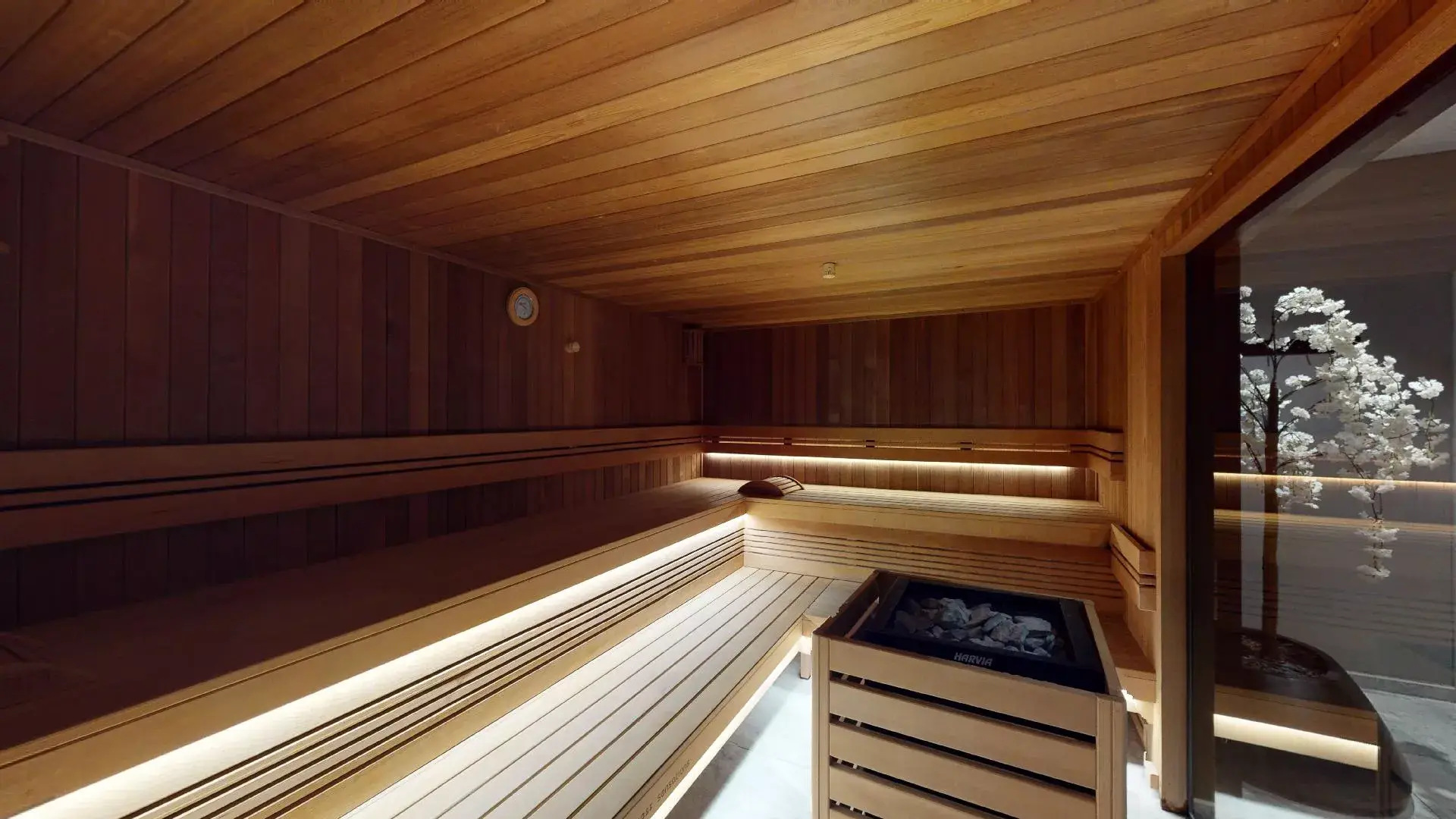 Wellness, Hotel Mons Congress & Spa