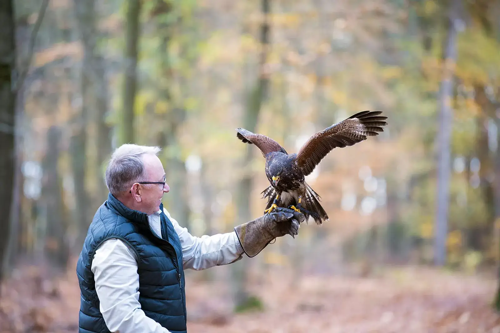 Falconer with owl outdoors