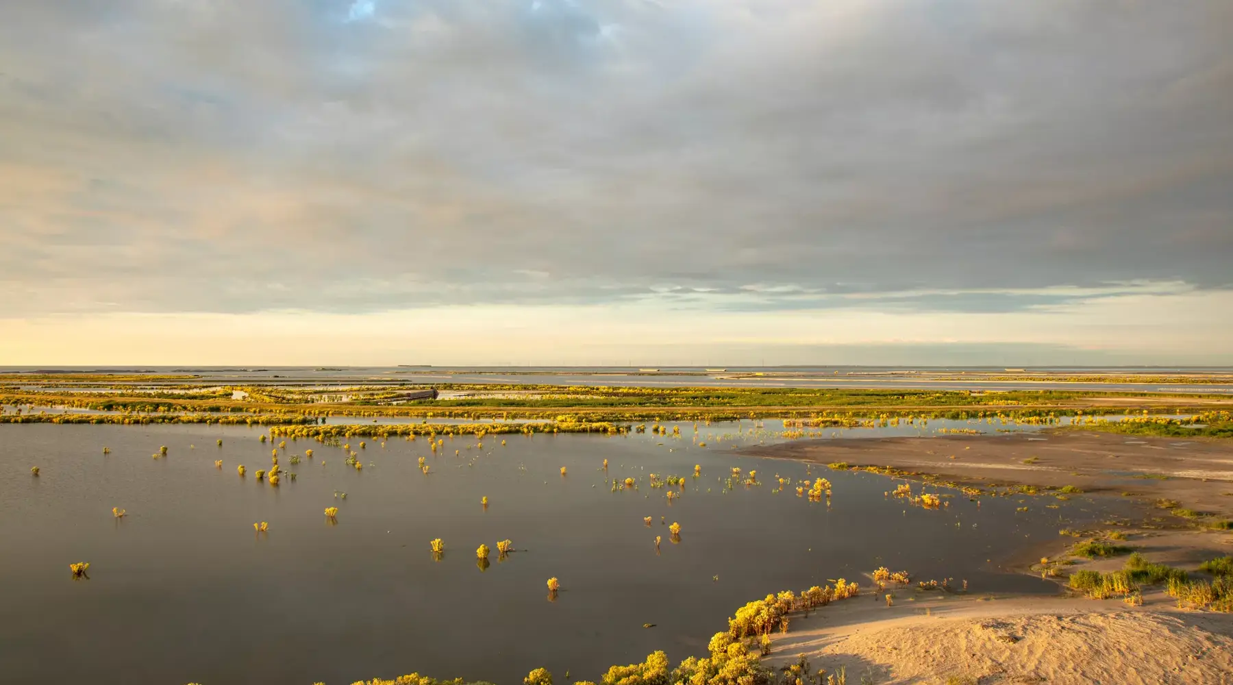 Uitzicht over Marker Wadden