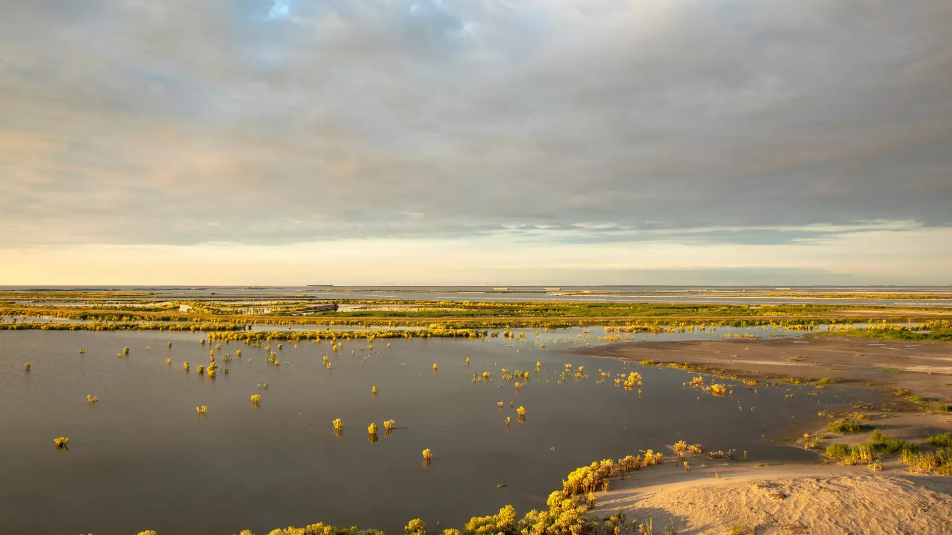 Marker Wadden