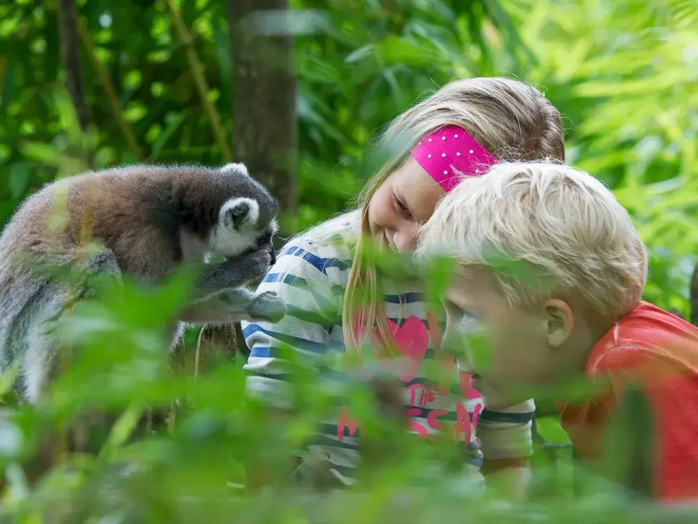 2 children in a zoo with a little monkey