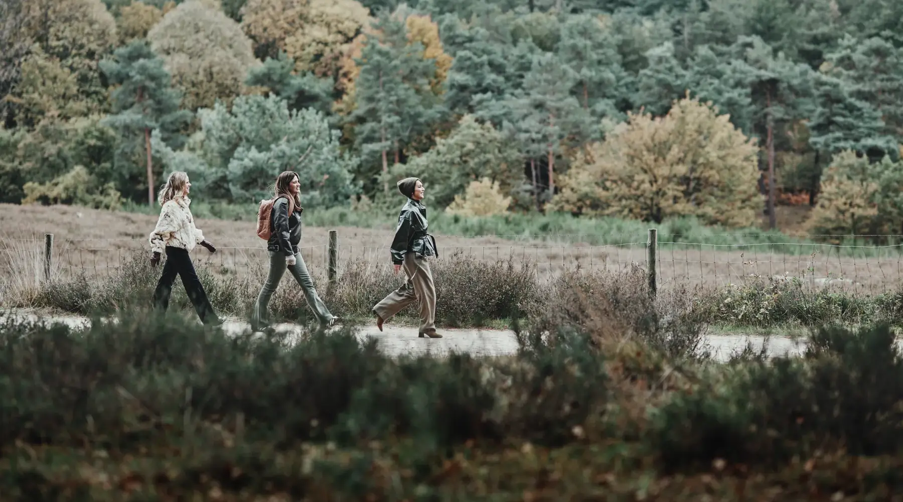 Wandelen