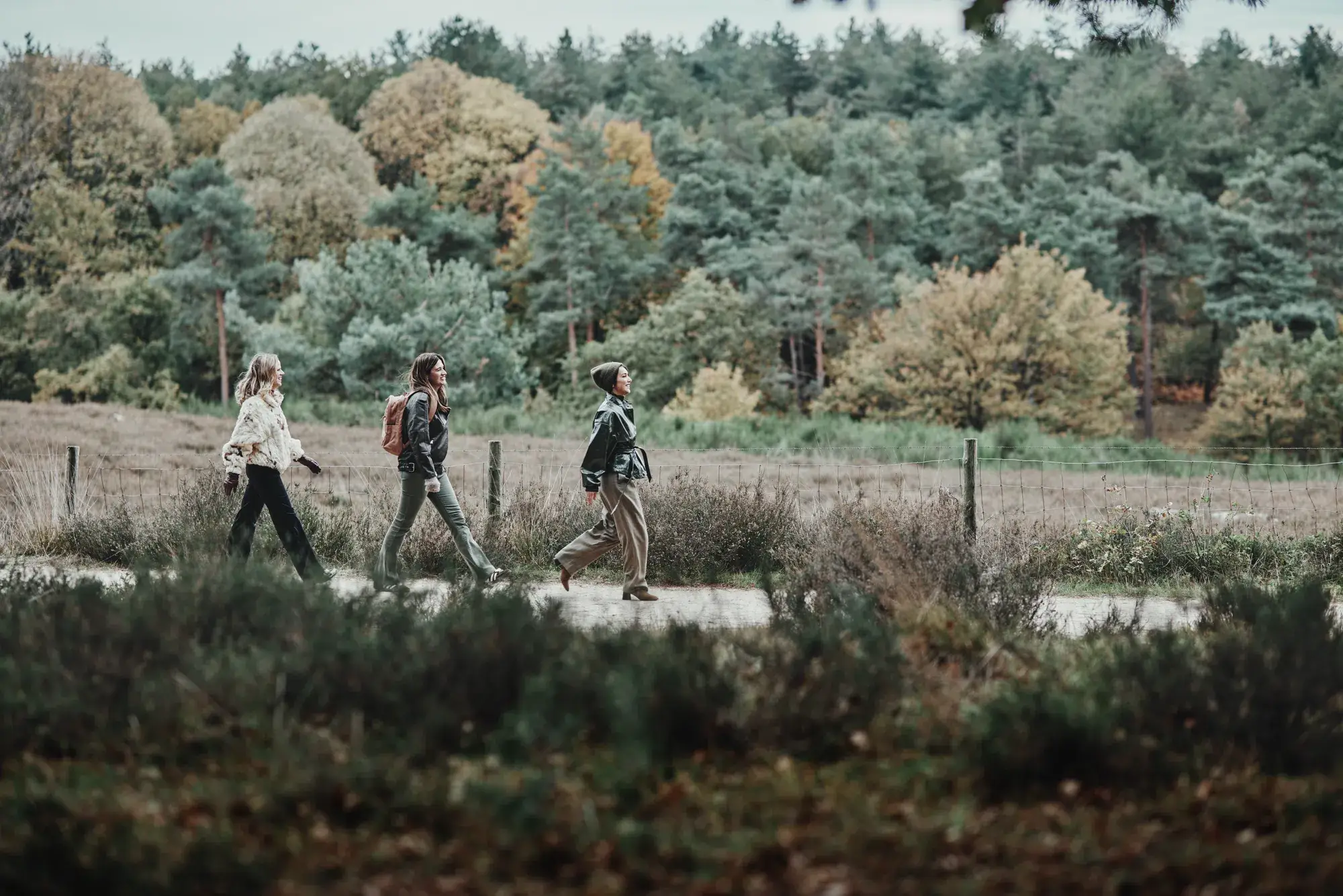 Walk