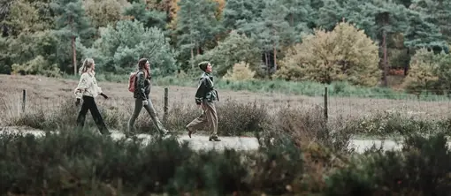 Walk