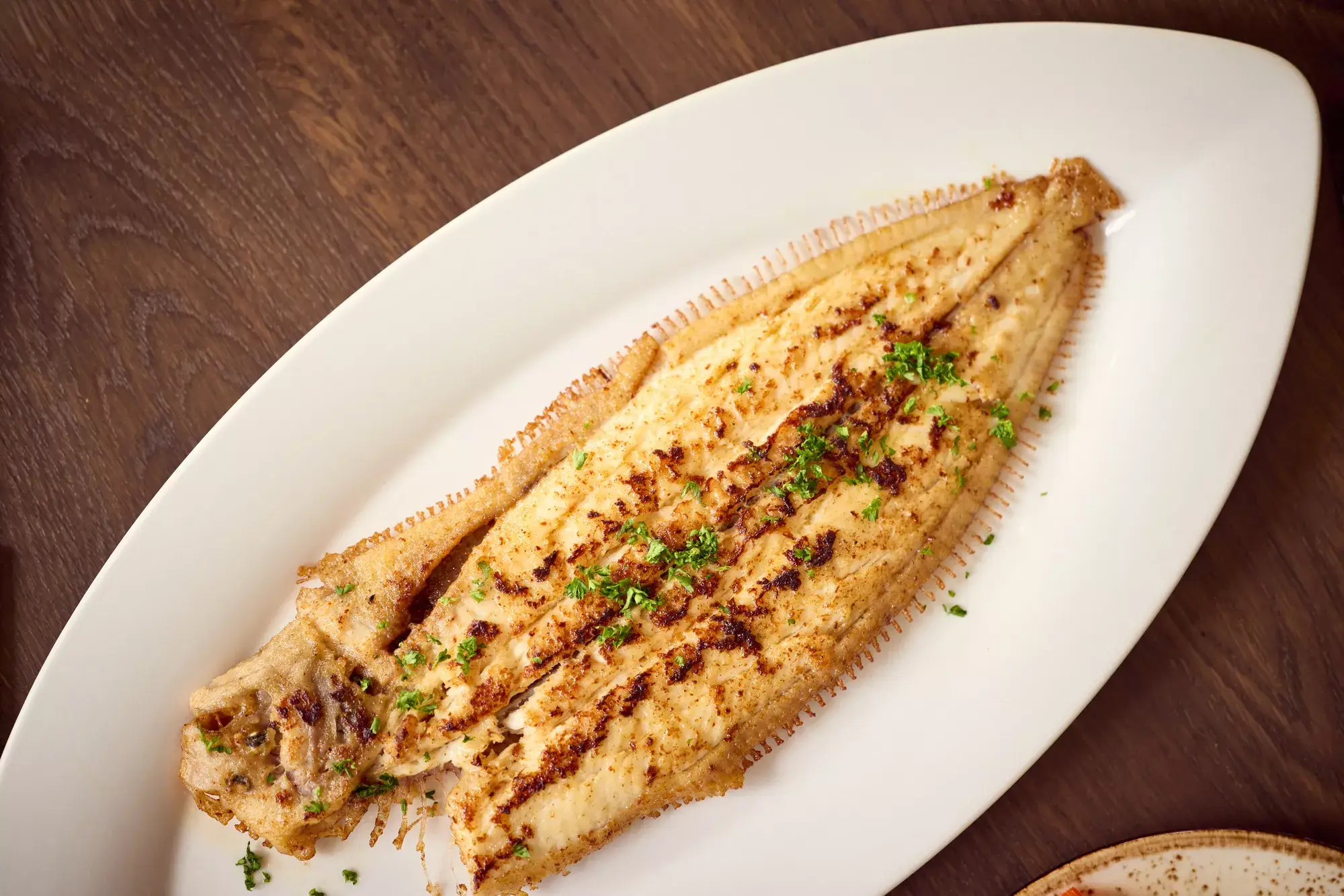 North Sea sole fried in butter, served on a plate in Restaurant Vloed