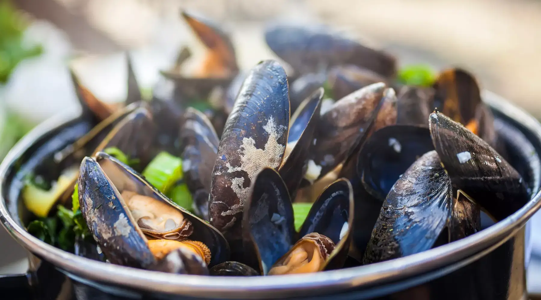 Fresh mussels