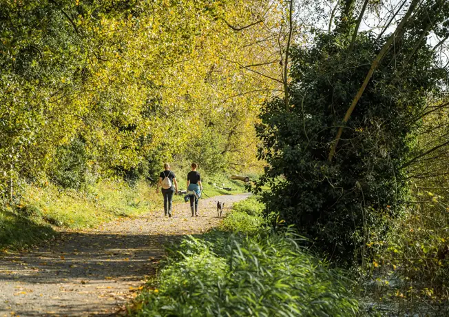 bourgoyen-Ossenmeersen natuurpark in omgeving Gent