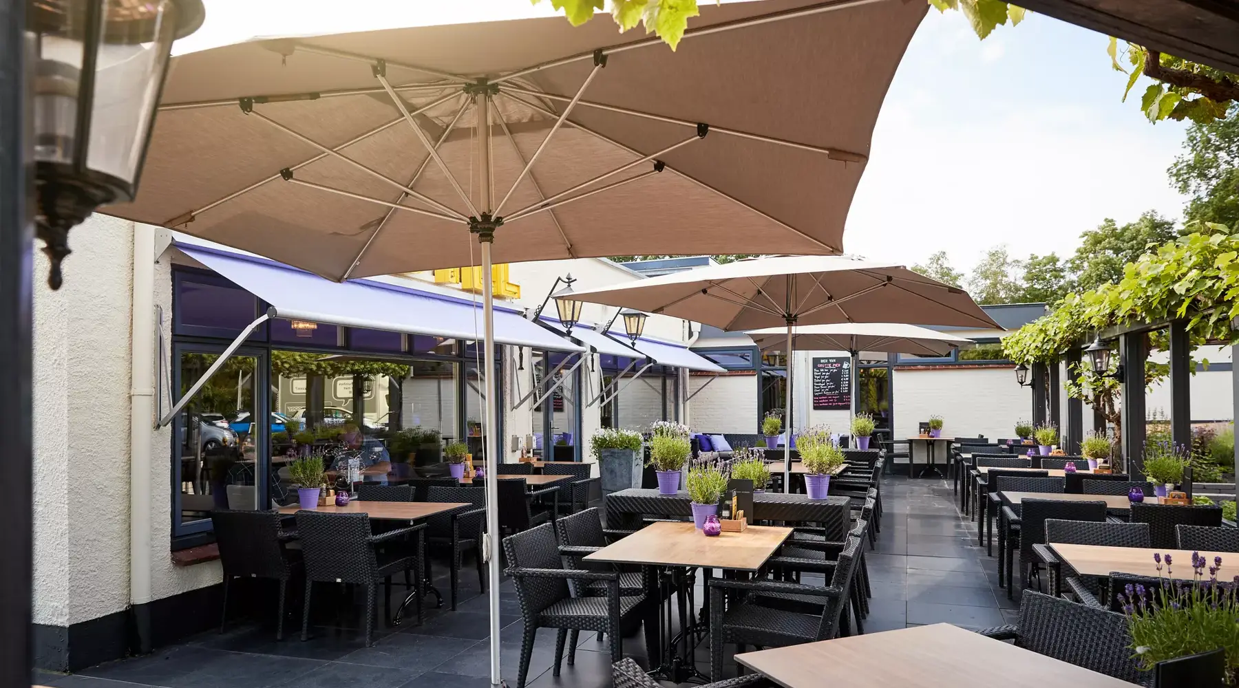 Terras