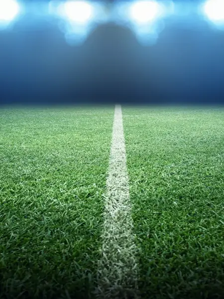 Speelveld van de Veltins-Arena