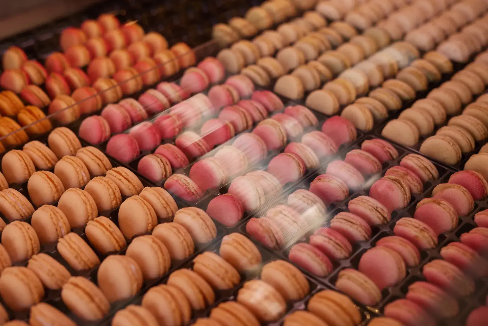 Op de foto staan er macarons in verschillende kleurtjes 