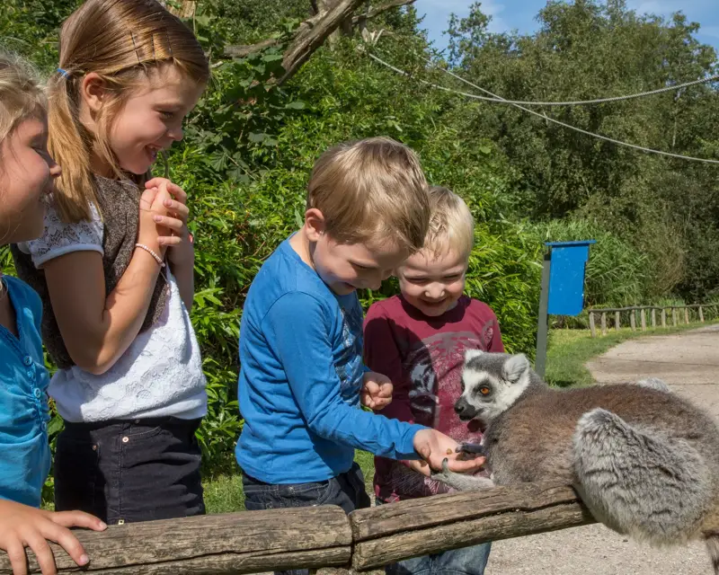 Enfants au zoo