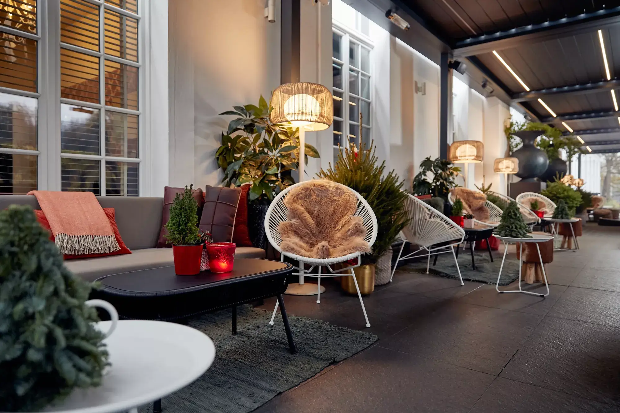 Terras