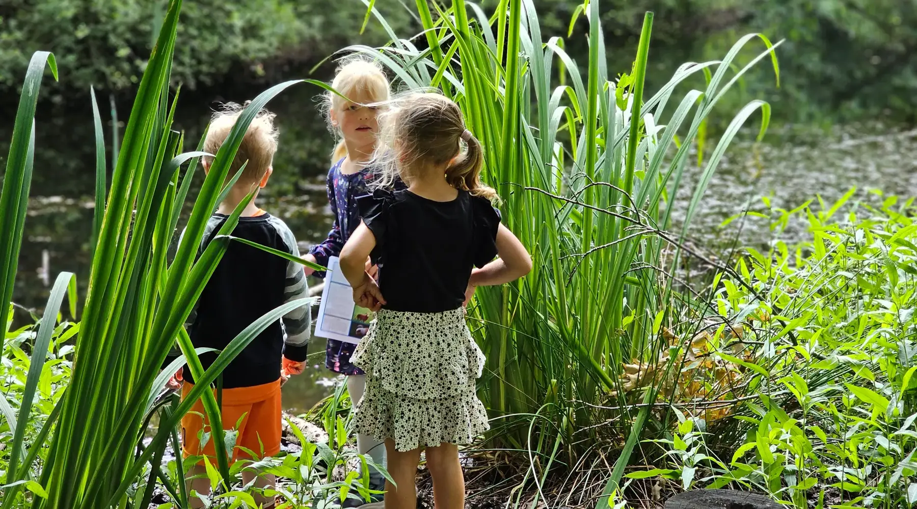 Kinder auf dem Naturpfad in De Naturij