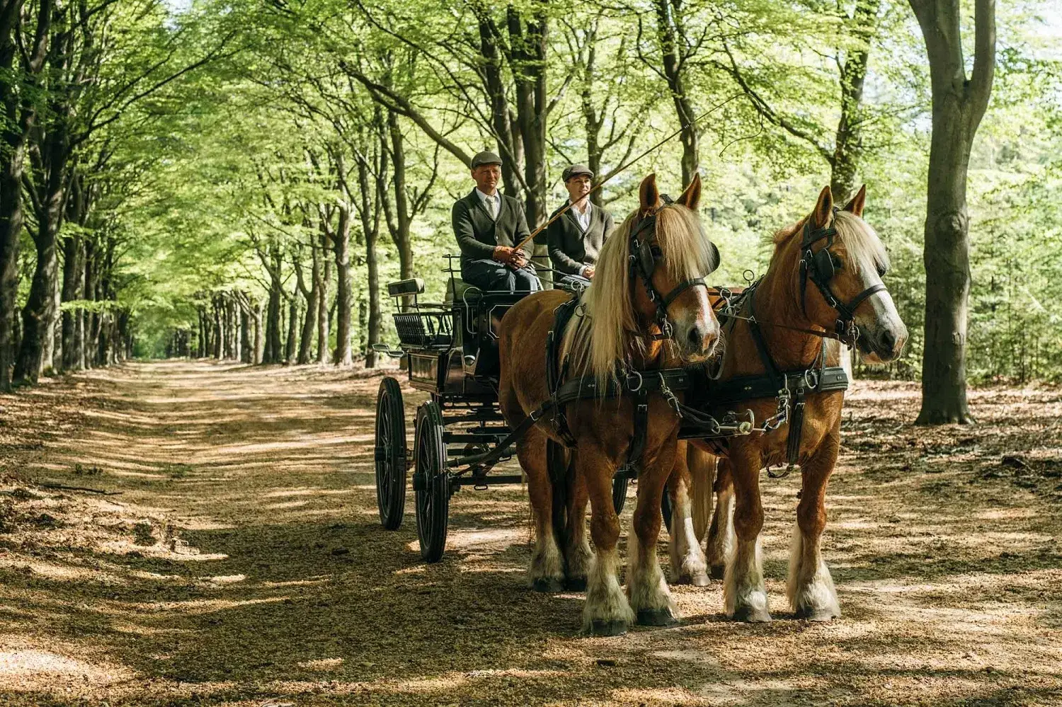 Outdooractiviteit koetsrit Veluwe