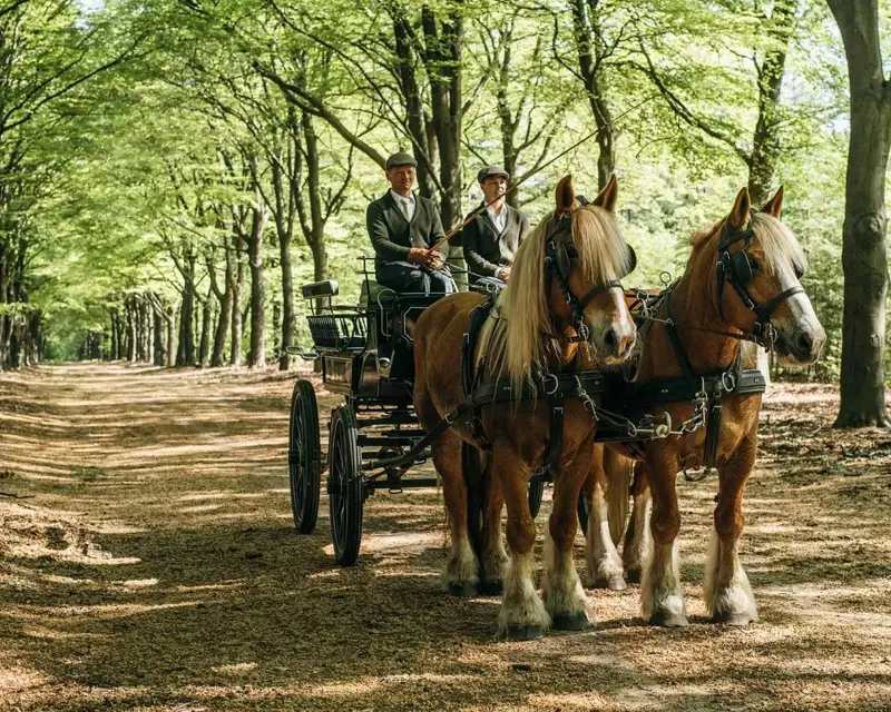 Outdooractiviteit koetsrit Veluwe