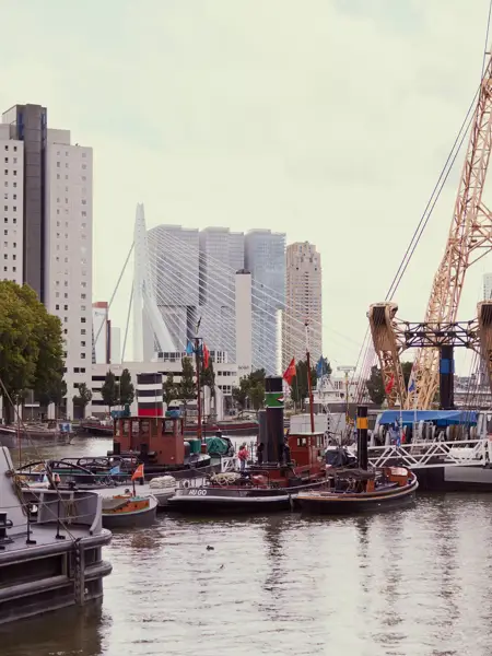Port and skyline of Rotterdam