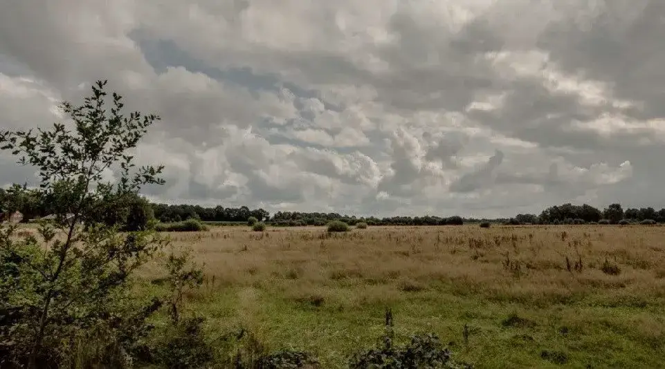 Wierdense Field