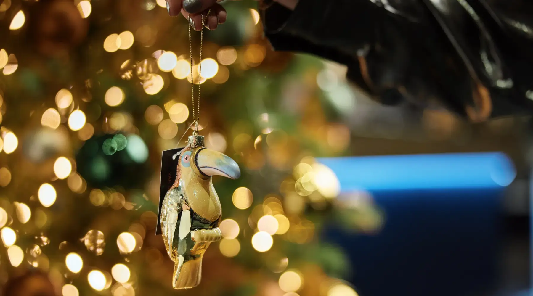 Weihnachten in Groningen Hoogkerk