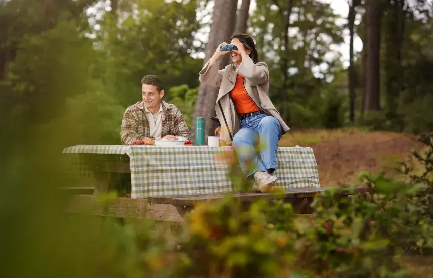 Picknicken in der Natur.