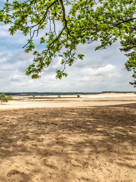 Loonse en Drunense Duinen