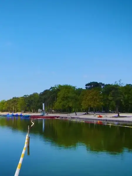 Texte alternatif de l'image