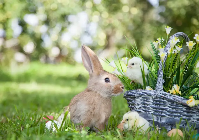 Ostern