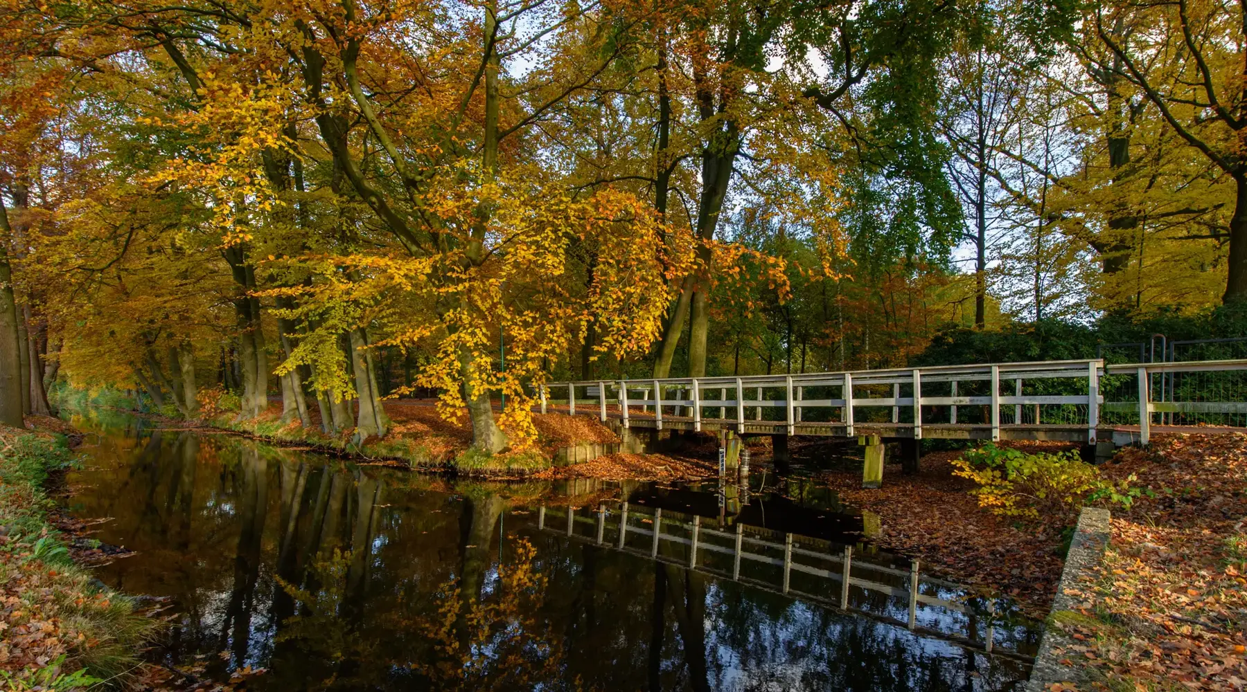 Vrouw fietst in de natuur