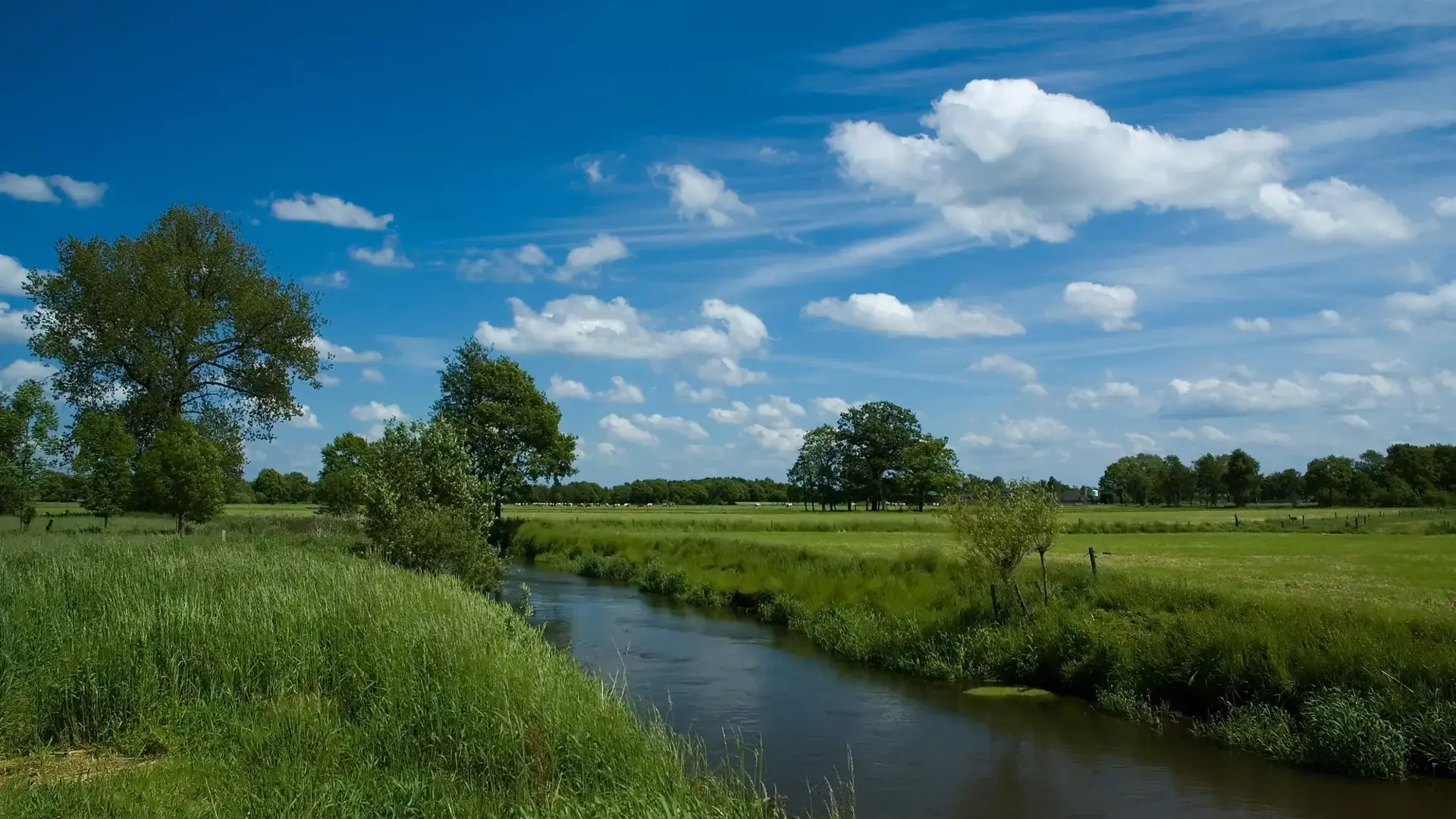 Fierljeppenpolder