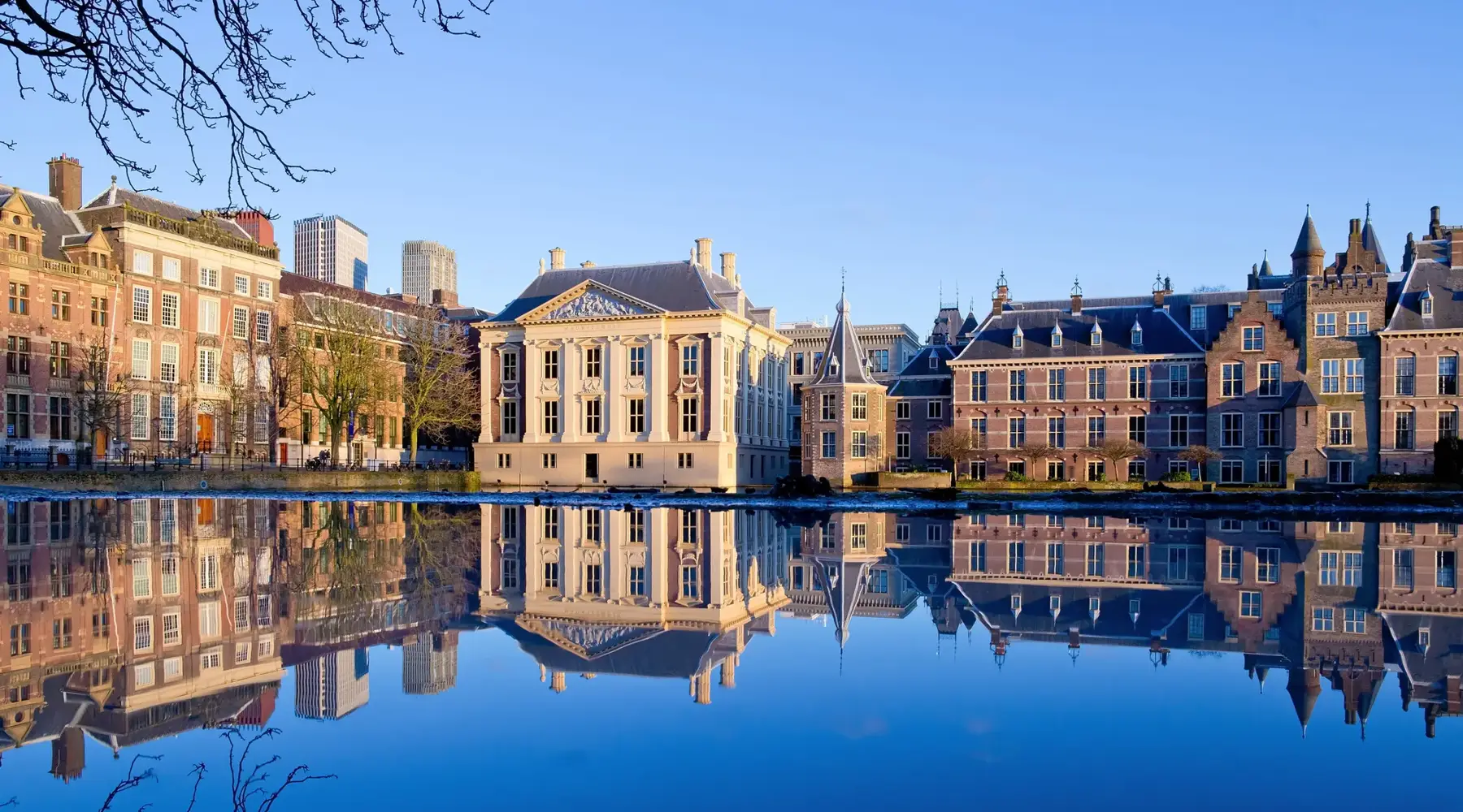 The Hague
