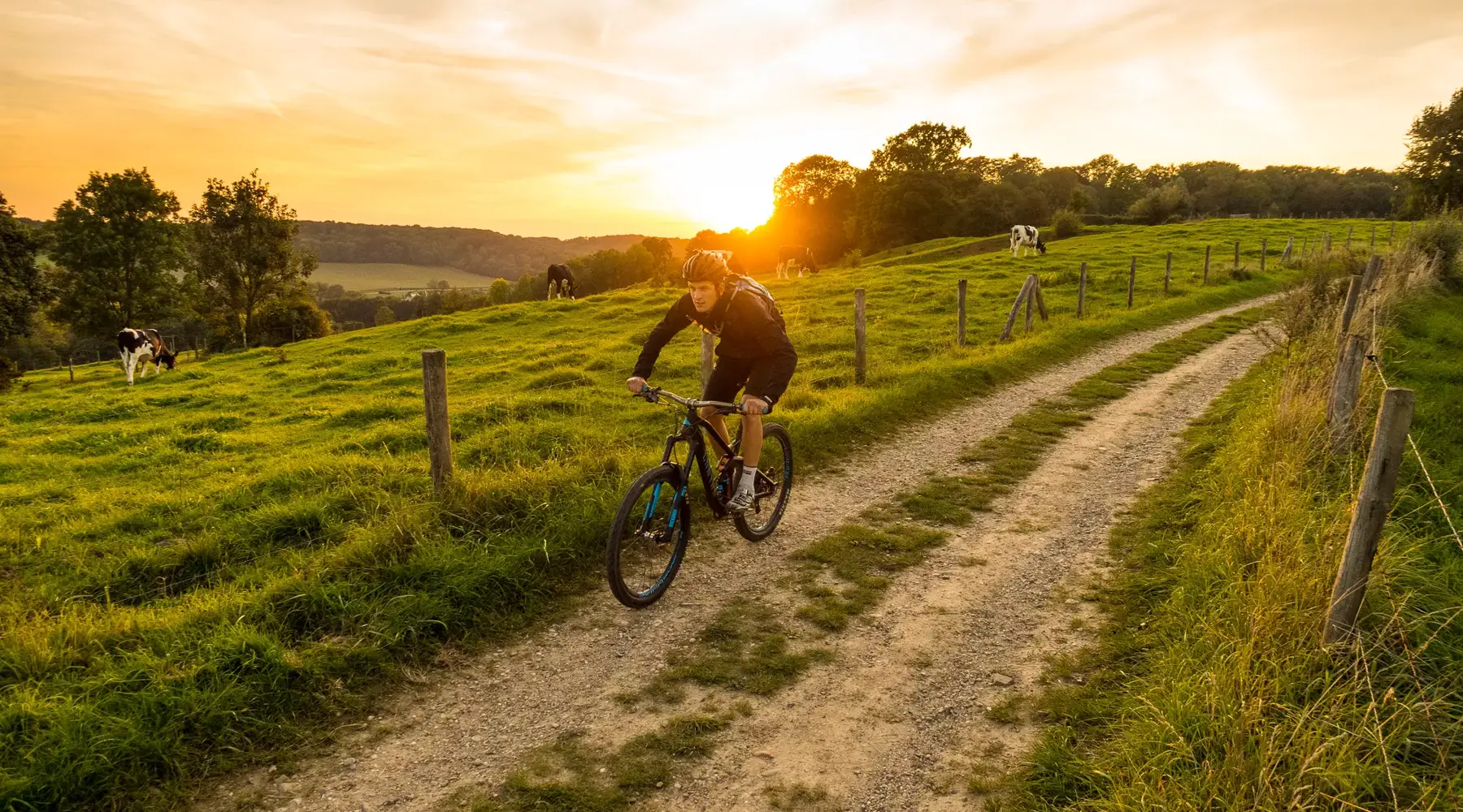 Man on mountain bike in Limburg.