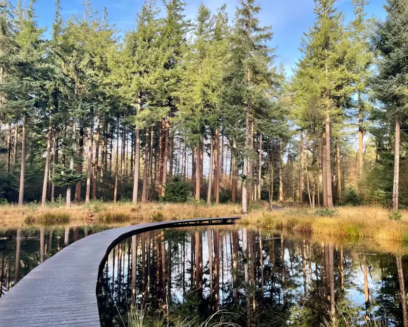 Das Wallebos