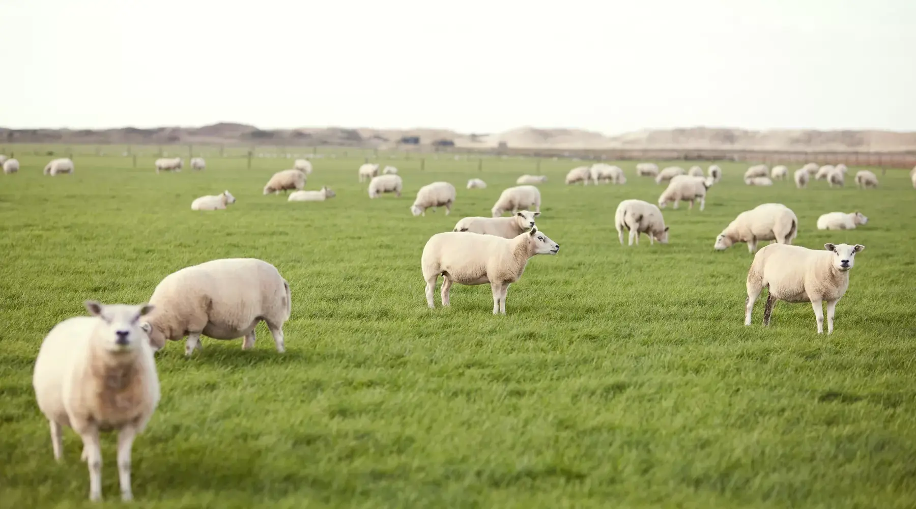 Geniet van de natuur
