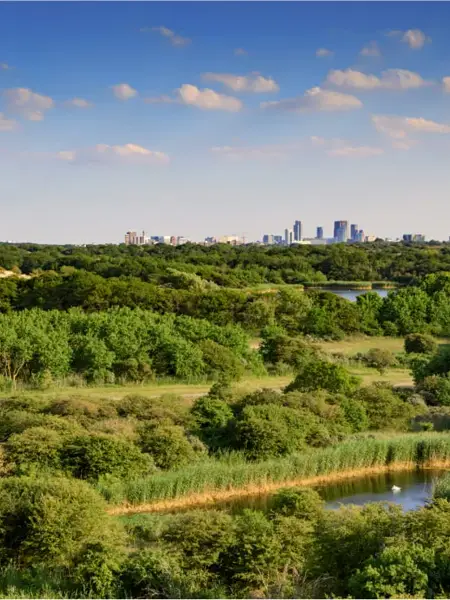 Naturschutzgebiet Meijendel