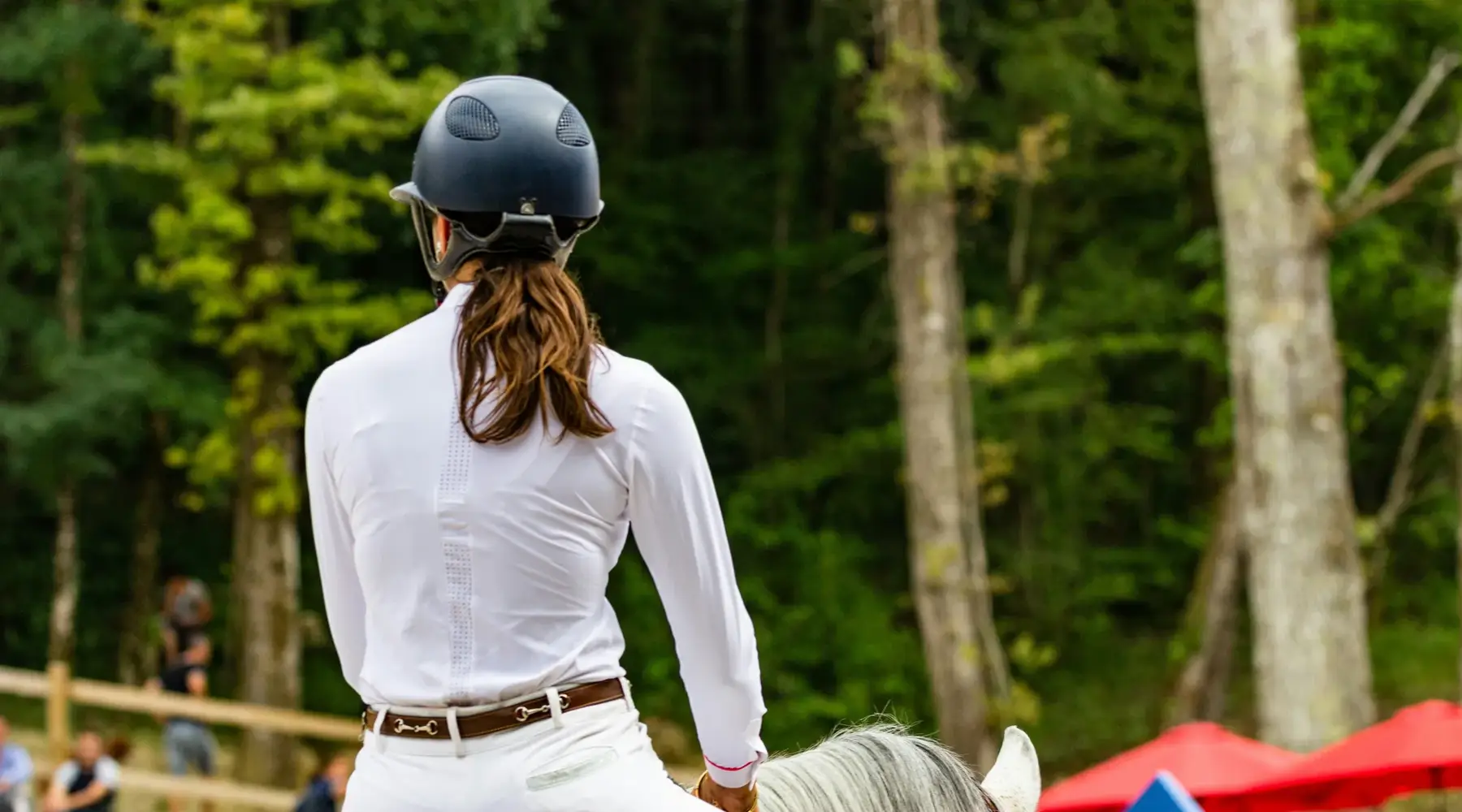 Horse with rider