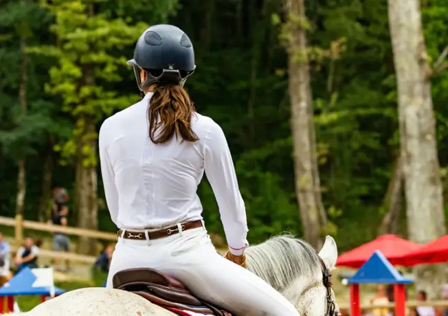 Pferd mit Reiter