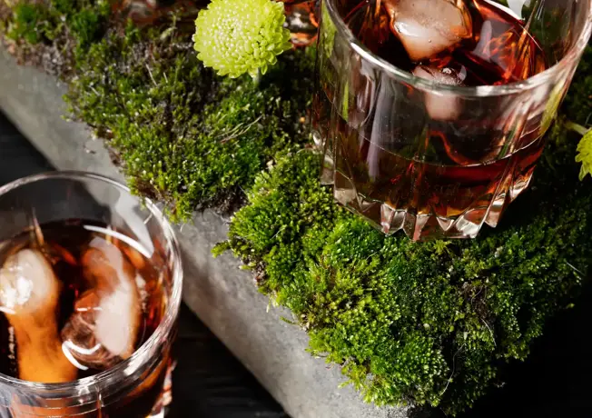 Ontspanningsreis in het boothuis aan het meer