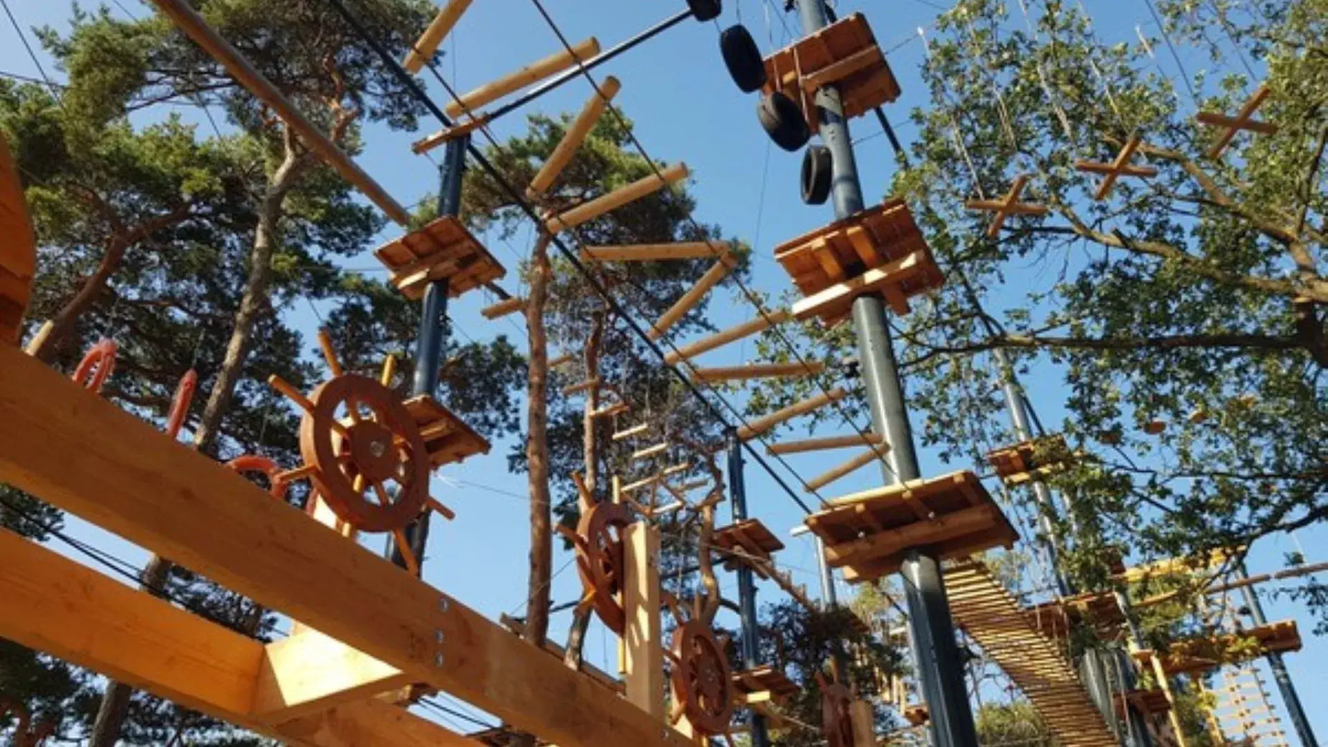 Anspruchsvoller Kletterpark im Freien mit Holzplattformen und Hindernissen zwischen den Bäumen, als Teil der Abenteueraktivitäten während der Outdoor-Woche des IJM.